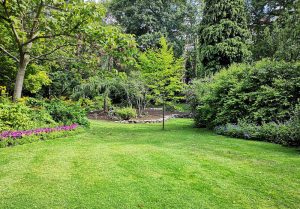 Optimiser l'expérience du jardin à Chambry